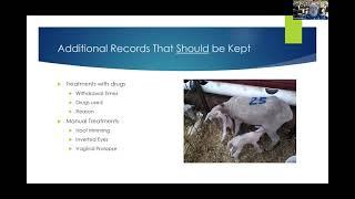 Goat & Sheep Management- Record keeping and proper identification-   Dan Persons, Part 2