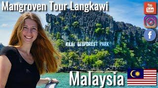 Mangrove Tour through the Kilim Geoforest National Park Langkawi - World Tour VLOG #126 4K