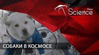 СОБАКИ В КОСМОСЕ | Документальный фильм