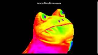 RAINBOW FROG.mp4