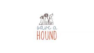 Save a Hound