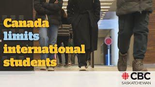 How will Canada's cap on international students impact Saskatchewan?