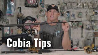 How to Catch Cobia | Tips Techniques Gear Explained!