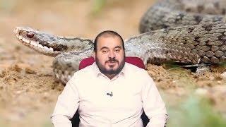 Rüyada yılan görmek Hüseyin duru rüya tabirleri Rüyada yılan görmek  rüya tabiri