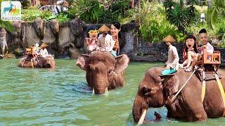 Naik Gajah Melewati Sungai Seru Banget - Kebun Binatang Bali Zoo Safari Anak