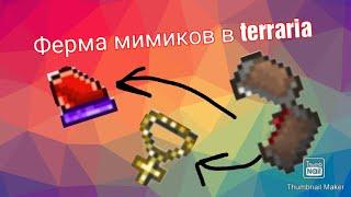 Ферма мимиков в Terraria! | Terraria