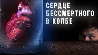 Сердце бессмертного в колбе