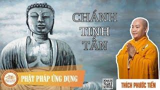 Chánh Tinh Tấn - Thầy Thích Phước Tiến