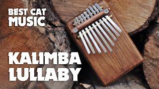 Best KALIMBA LULLABY for cats 4к