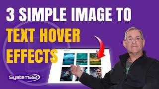 Design Like a Pro: 3 Stunning Image-to-Text Hover Effects with Icons with the Divi Theme