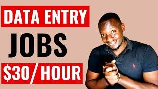 Data Entry Jobs Paying $30 Per Hour | Worldwide Remote Opportunities