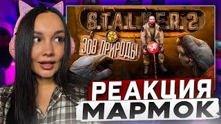 Реакция MILKA PLAY на Мармока Marmok - S.T.A.L.K.E.R. 2: Heart of Chornobyl "Баги, Баги, Баги"