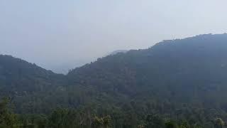 #pvsktoyexperiment #all #travel #views #location #forest (2)