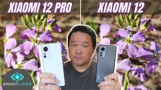 Xiaomi 12 vs Xiaomi 12 Pro Camera Test | 50MP cameras + different sensors = same result?