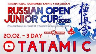 «Russian Open Junior Cup - 2022». ТАТАМИ C  (3 день)