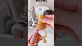 Is Your Baby Ready for Fruit? The Fruit Feeding Baby Pacifier Makes It Easy!#Shorts