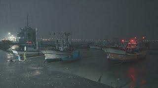 [Rain Walk in ThunderStorm] Rainy port. Lightning thunder. Thunderstorm Sounds