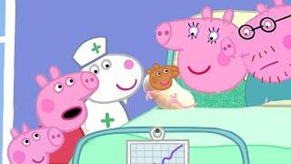 MUMMY PIG HAS A NEW BABY - mummy pig pregnancy - Mama cerdita embarazada