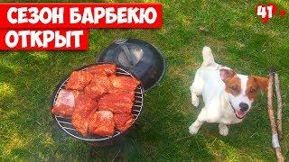 DOGVLOG. Готовим РЕБРЫШКИ БАРБЕКЮ С ЛОКИ БОБО. Джек Рассел Терьер. 041 серия.