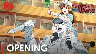 Cells at Work! | Opening