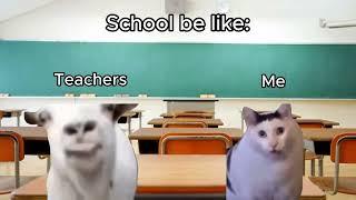 School be like (Goat talking to clueless cat meme)