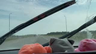 A scenic trip to Sylvan Lake, Alberta . #driving  #roadtrip #subscribe