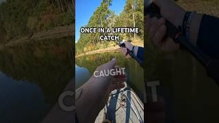 YOU WILL NOT BELIEVE WHAT I CAUGHT #bassfishing #shorts