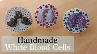 How to make Eocinophil and Basophil Model | 3d Styrofoam Carving