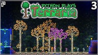 The Terraria GEM FARM?! | Let's Play Terraria 1.4 Ep.3