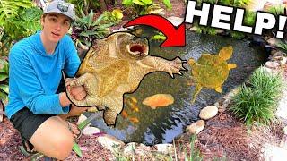 REMOVING *DANGEROUS* SNAPPING TURTLE From BACKYARD POND!!
