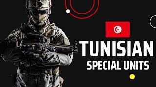Tunisian Special Units: Behind the Scenes of a Special Forces Team