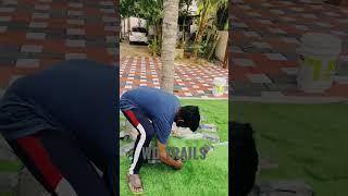 One more upgrade in garden for Rs.1200  | Interlock art | Grass cutting
