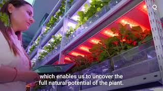 Russia's Vertical Farm Experiment