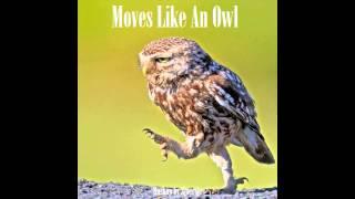 Owl City / Maroon 5 - Moves Like An Owl (mashup by Sjoersje)