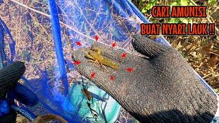 BERBURU UDANG BUAT UMPAN MANCING DI LAUT