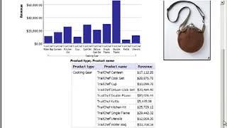 BSP   Integrated Report Documenter