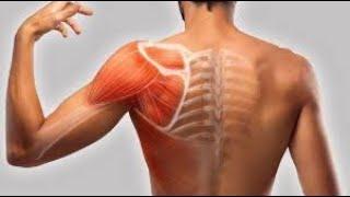 ARTHROSCOPIC SHOULDER STABILISATION |DR.UMER BUTT|