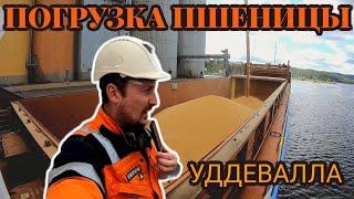 Погрузка пшеницы | УДДЕВАЛЛА | Швеция | Моряк блогер рассказывает о жизни и работе на судне