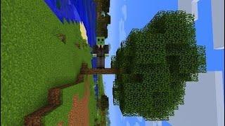 Sideways Minecraft