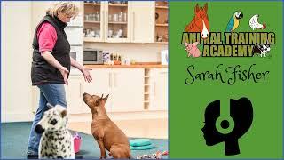 Sarah Fisher’s Journey into Animal Centred Education [Episode 248]