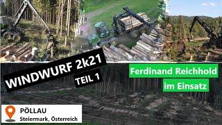 WINDWURF 2k21 Teil 1: Aufräumarbeiten mit Harvester & Forwarder | Landtechnik Murtal