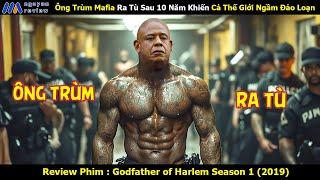 [Review Phim] Ông Trùm Mafia Ra Tù Sau 10 Năm Khiến Cả Thế Giới Ngầm Đảo Loạn