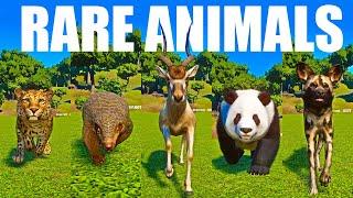 Rare Animals Speed Race in Planet Zoo included Adda, Leopard, Panda, Dog