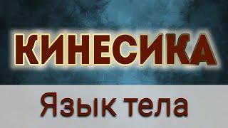 #ямывладбахов #владбахов ВЛАД БАХОВ | КИНЕСИКА | ЯЗЫК ТЕЛА