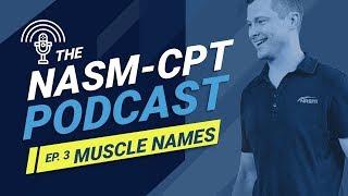 How to Remember the Names of the Muscles - The NASM-CPT Podcast