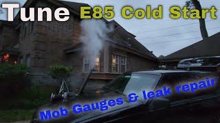 Cold Start Fine Tune, Gauges and Repair MOB 242 Oil Leak