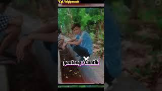 story wa 30 detik