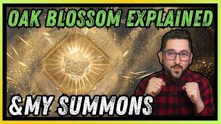  I GOT WHO I ASKED FOR  My Oak Blossom Summons | Dragonheir: Silent Gods