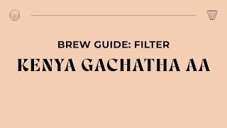 Brew Guide - Kenya Gachatha AA Filter