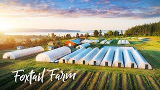 STUNNING Organic Vegetable & Flower Farm on an ISLAND!